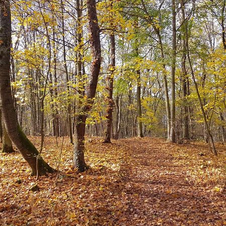Gemuetliche Ferienwohnung Am Ortsrand Kreuzwertheim Zewnętrze zdjęcie