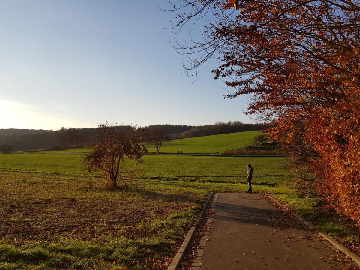 Gemuetliche Ferienwohnung Am Ortsrand Kreuzwertheim Zewnętrze zdjęcie